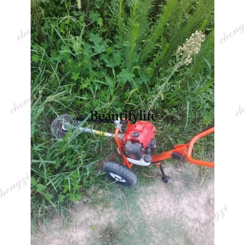 L178 Lawn mower hand push lawn - Power Tools And Hand Tools recensione e prezzo
